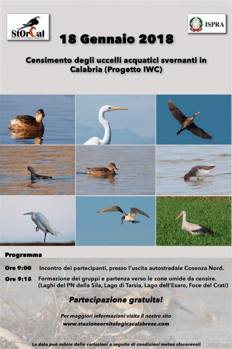 censimenti iwc lombardia|Le popolazioni di uccelli acquatici svernanti in Lombardia, 2020.